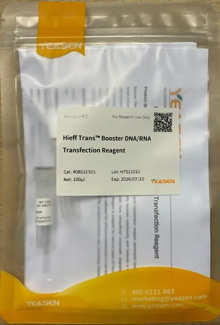 Hieff TransTM Liposomal Transfection Reagent -1 mL