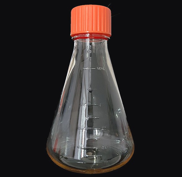 [SK-CELL-47] Erlenmeyer Flasks
