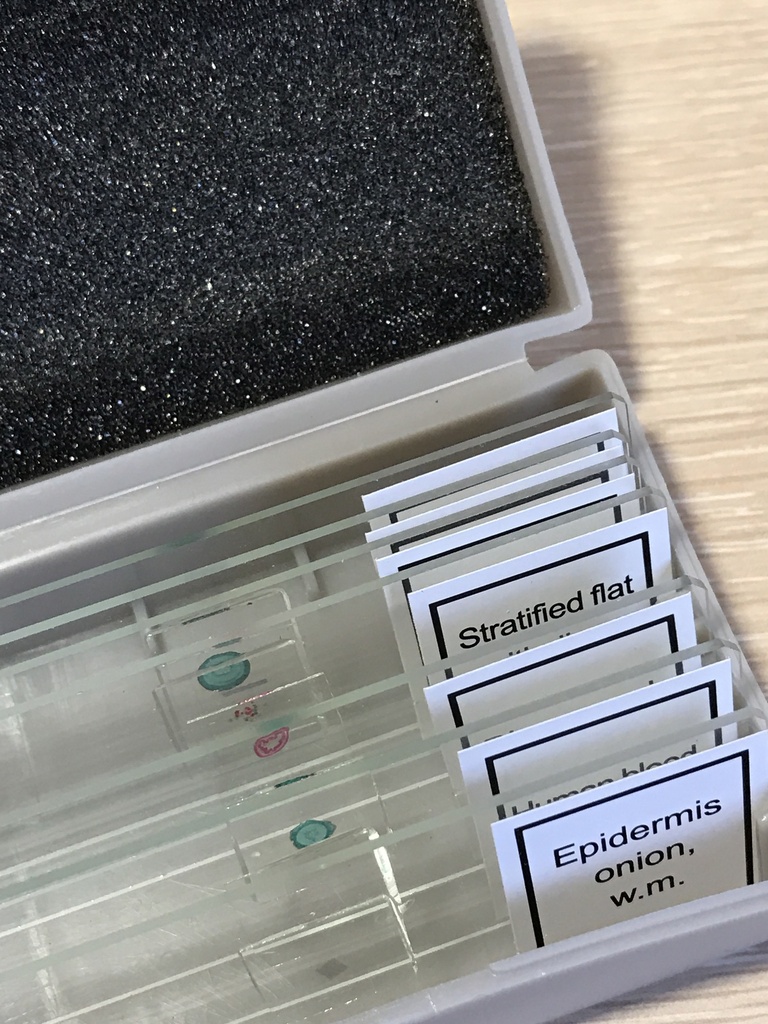 [SK-CELL-58] Slide Storage Boxes