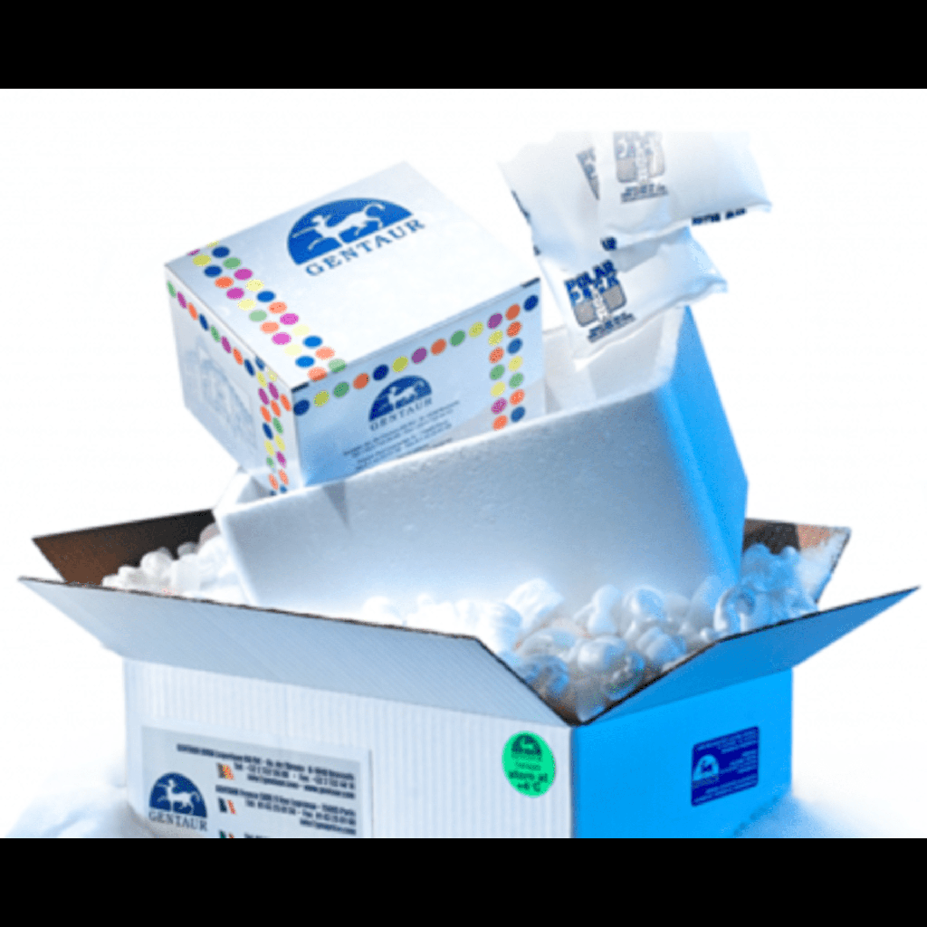 Flystuff Drososize:Plugs®, Wide Vials, Manual Insertion, 4840 Plugs/Unit