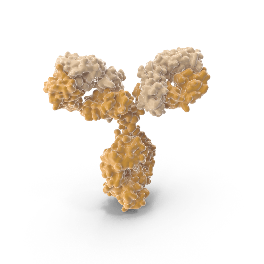 Goat antisize:Mouse IgE Heavy Chain Antibody HRP Conj µgated size: 1 mg